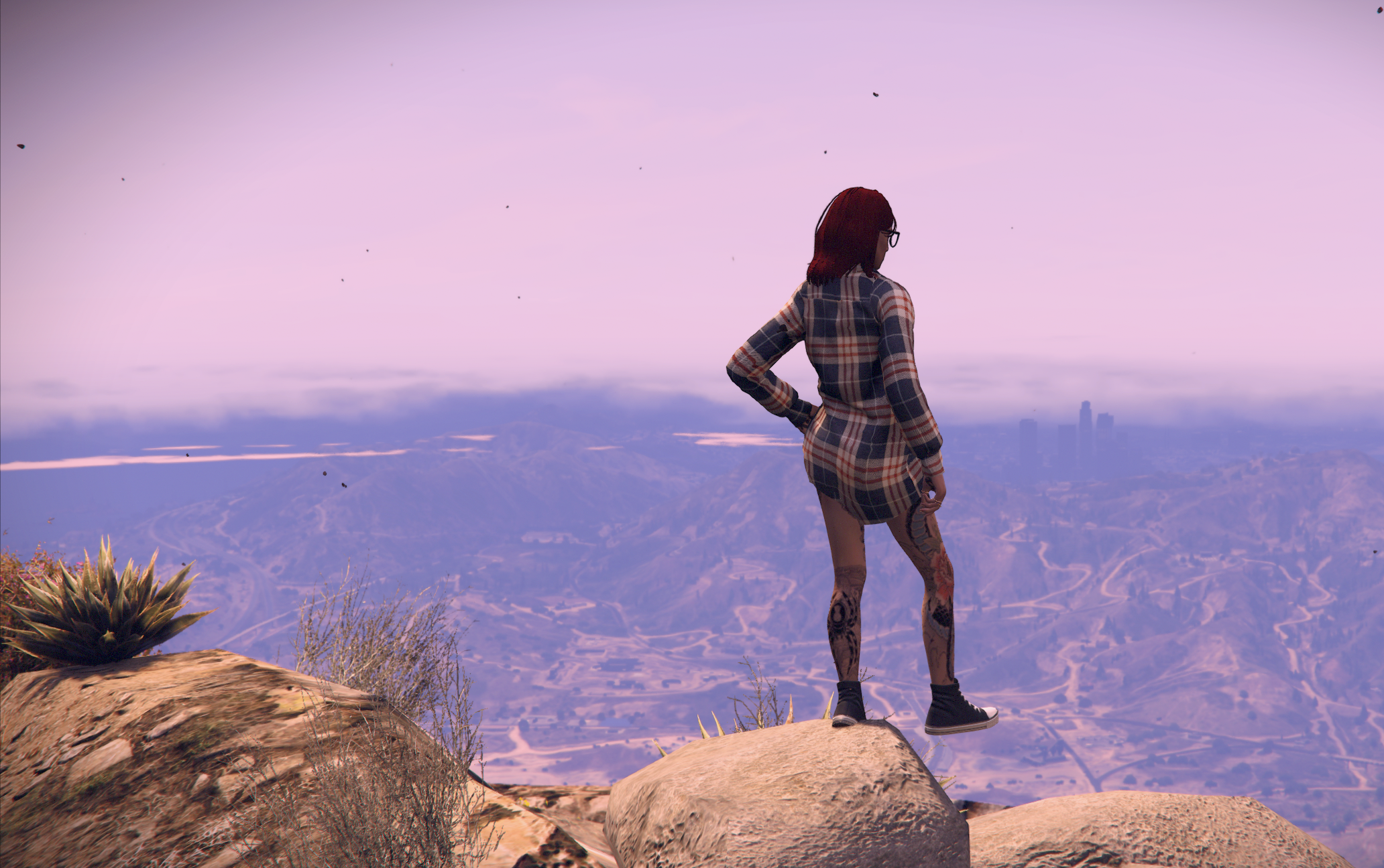 Foto 72 de Phoenix Blackviper