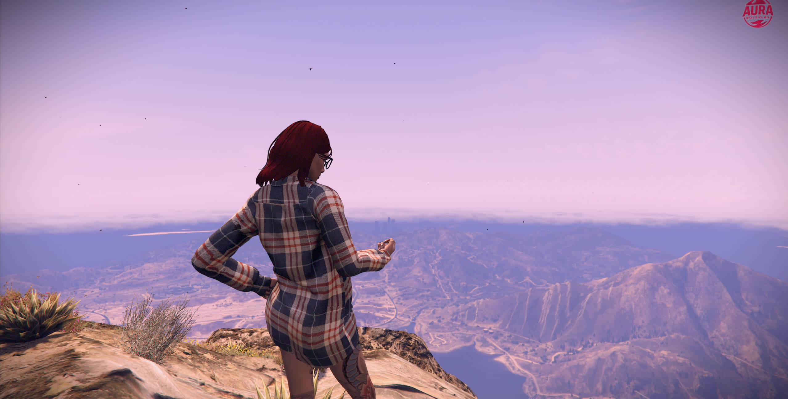 Foto 73 de Phoenix Blackviper